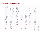 Detection of different genes heredity