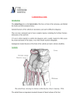 Cuboid Fracture