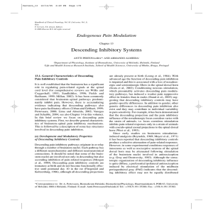 Descending Inhibitory Systems