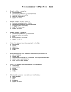 Synaptic inhibition is caused by: