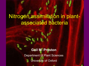 P. syringae One metabolism - Department of Statistics Oxford