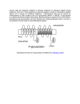 Cancer cells are frequently resistant or develop resistance to