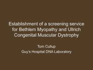 Establishment of a screening service for BM and UCMD