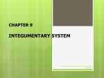 Integumentary System!.