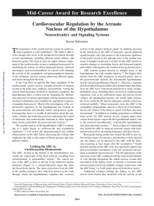 Cardiovascular Regulation by the Arcuate Nucleus of