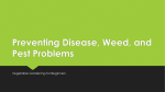 Preventing Disease, Weed, and Pest Problems