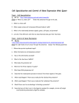 Cell Specialization and Control of Gene Expression Web Quest