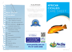 african_care sheet.indd