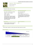 Woody Plants Database