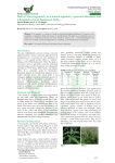 Role of Vitex negundo L. as a natural repellent, a powerful discutient