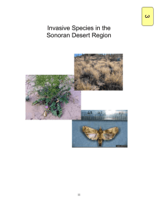 Invasive Species in the Sonoran Desert Region - Arizona