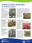 Trees and Shrubs - Rotorua District Council