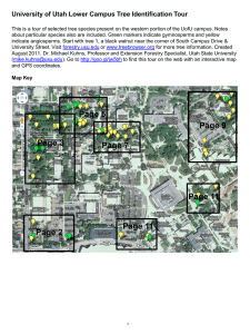 University of Utah Lower Campus Tree Identification Tour