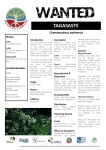 Tagasaste - Blackwood Basin Group