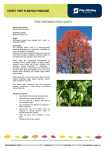 TREE INFORMATION SHEET