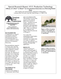 Efficacy of A-Rest™ or Bonzi™ on Clerodendrum thomsoniae as a