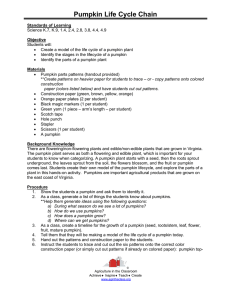 Pumpkin Life Cycle Chain - Agriculture in the Classroom