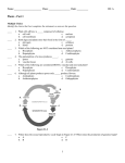 ExamView - Plants I.tst