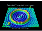 Scanning Tunneling Microscope