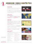 Visual IMPACT! Factsheet