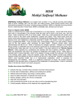 MSM Methyl Sulfonyl Methane