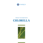 chlorella