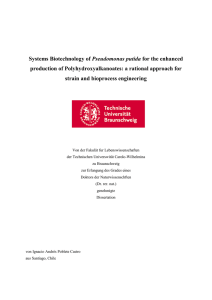 Systems Biotechnology of Pseudomonas putida for the enhanced