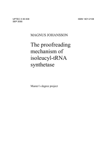 The proofreading mechanism of isoleucyl