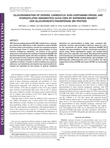 glucuronidation of opioids, carboxylic acid