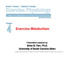 Exercise Metabolism Theory and Application to Fitness and Performance