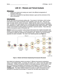 LAB 10 - Meiosis and Tetrad Analysis