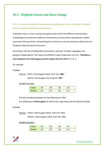 10.2 - Dihybrid Crosses and Gene Linkage