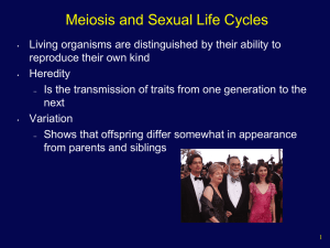 Meiosis and Sexual Life Cycles