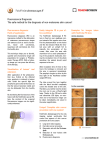 Fluorescence Diagnosis. The safe method for the diagnosis of non