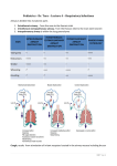 Pediatrics - Dr. Tara – Lecture 4 – Respiratory Infections