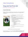 Dog and Cat First Aid