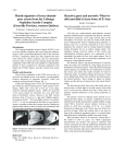 Mantle signature of trace element- poor zircon from the Cabonga