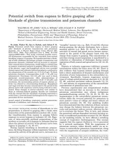 Potential switch from eupnea to fictive gasping after blockade of