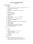 Principles of Down Syndrome Treatment