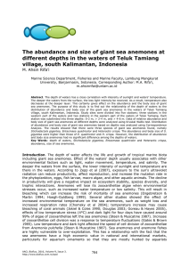 The abundance and size of giant sea anemones at different