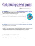 : Name: Cell Biology Basics http://www.biology4kids.com/files