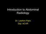 Introduction to Abdominal Radiology