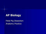 AP Biology