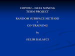 COP5992 – DATA MINING TERM PROJECT RANDOM SUBSPACE