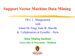 Mathematical Programming in Support Vector Machines