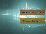 Business Intelligence (BI)