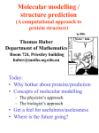 PowerPoint 1.5MB - The Biomolecular Modeling & Computational