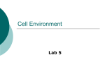 Cell Structure and Function