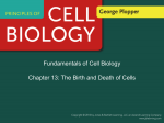 Fundamentals of Cell Biology