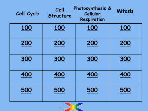 Chapter 15 - The Cell